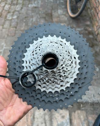 Cassetta Miche Xm 12v