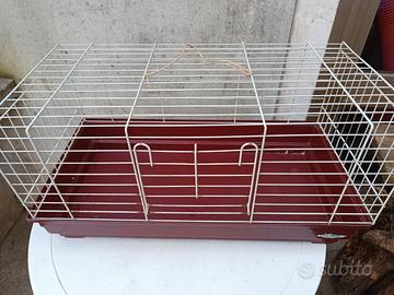 Gabbietta gabbia