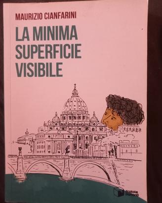 LA MINIMA SUPERFICIE VISIBILE