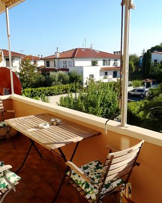 CECINA, zona COOP, 4vani + taverna e terrazza