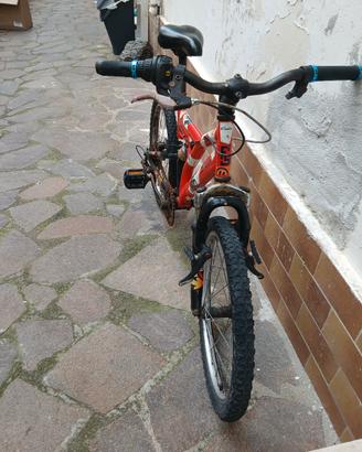 bicicletta 