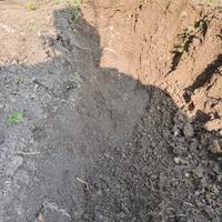 Terra da scavo pulita