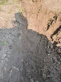 Terra da scavo pulita