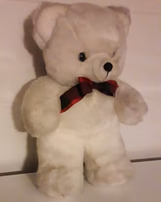 orsetto bianco