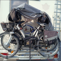 coppia city bike elettriche