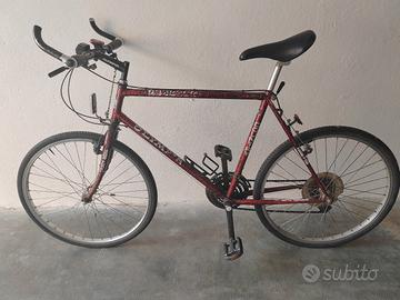 Bici da corsa Olympus 