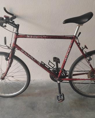 Bici da corsa Olympus 