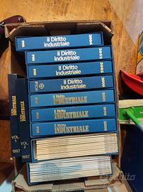 Rivista Il Diritto Industriale