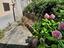 Immagine 25