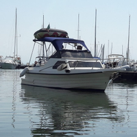 Pilotina su base gobbi con motore Suzuki 70cavalli