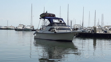 Pilotina su base gobbi con motore Suzuki 70cavalli