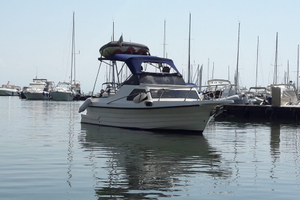 Pilotina su base gobbi con motore Suzuki 70cavalli