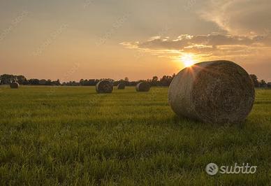 Rotoballa di fieno