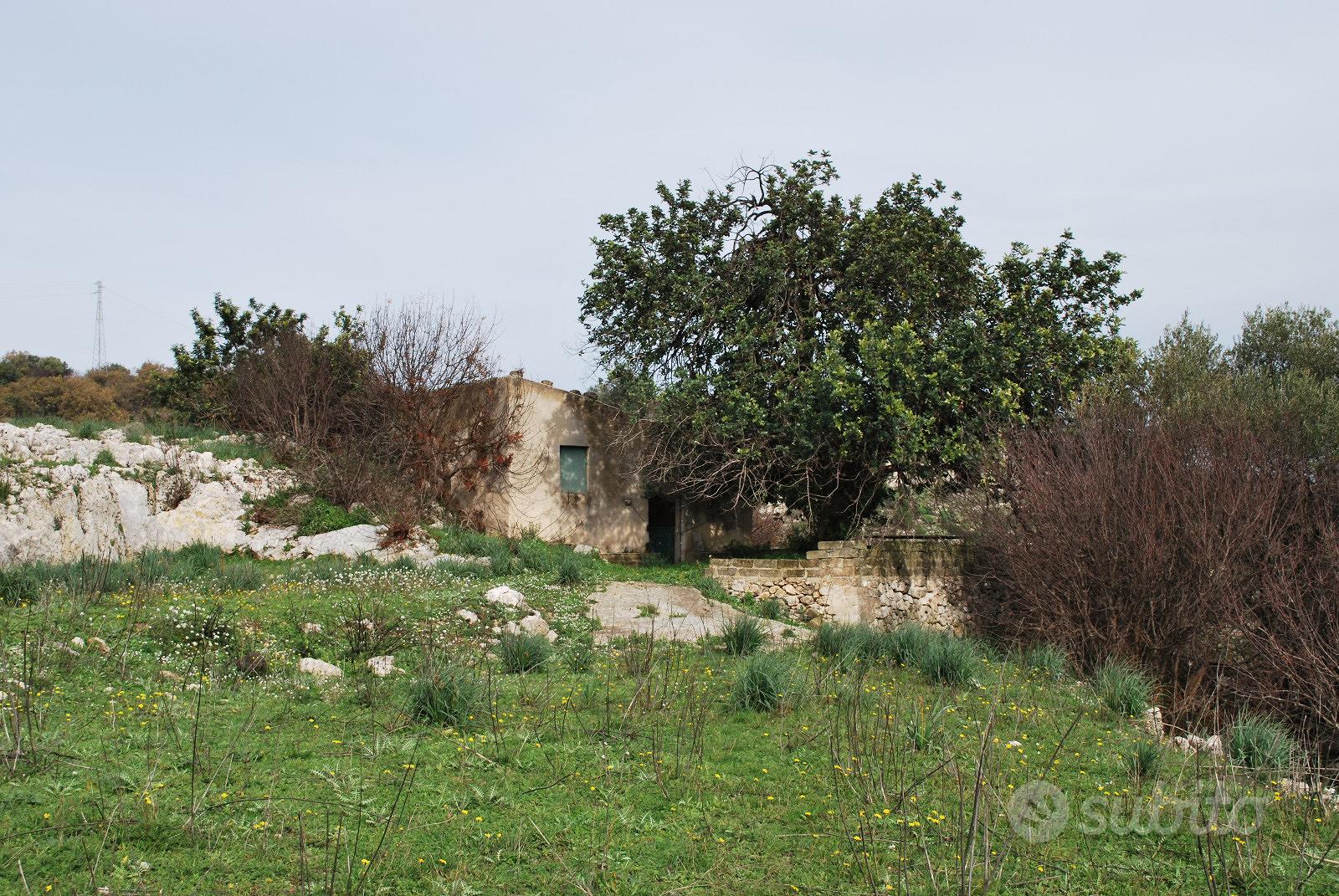 Terreno agricolo - Vista 5