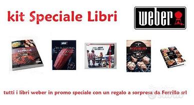 Kit libri totali Weber barbecue