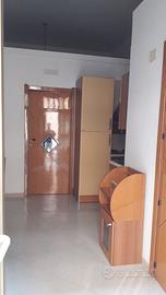 Piano Terra ammobiliato ristrutturato Zona Centro