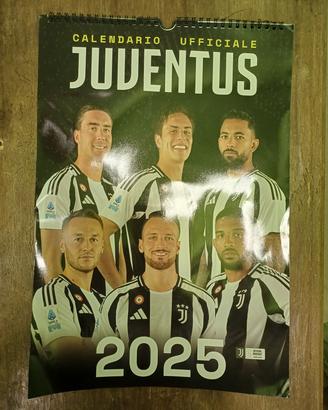 Album Juventus 2024/2025