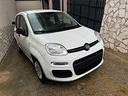 fiat-panda-1-2-easy