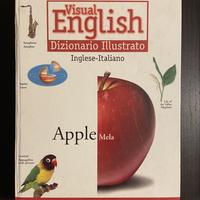 Dizionario illustrato Visual English