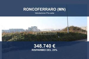 Immobile in asta di 13296 m² a Roncoferraro