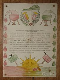 Goliardia papiro matricolare Bergamo 1945 Chimica