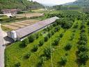 terreno-a-corneliano-d-alba