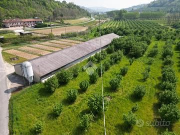 TERRENO A CORNELIANO D'ALBA