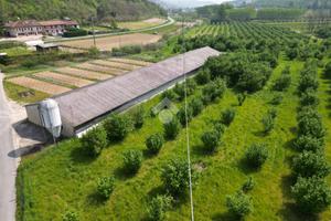 TERRENO A CORNELIANO D'ALBA