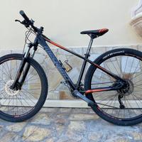 Mtb Megamo Natural 29