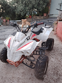 Quad 125rr Sportrax