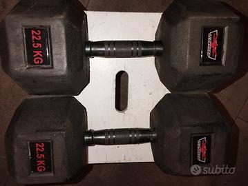 Manubri gommati palestra 22,5 kg