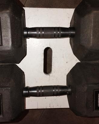 Manubri gommati palestra 22,5 kg