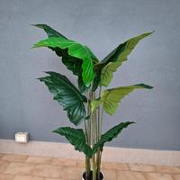 Pianta finta Alocasia