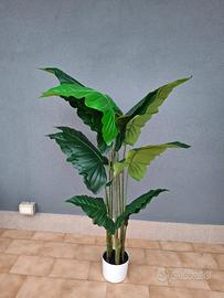 Pianta finta Alocasia