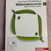 Zanichelli Matematica Verde