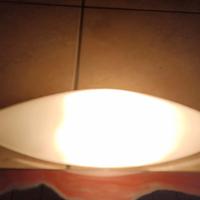 coppia applique da parete in vetro opacizzato 