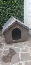 casetta per cane 