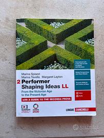 Performer Shaping Ideas 2