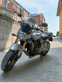 Honda Hornet