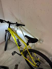 Bicicletta cannondale