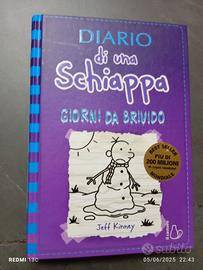 GIORNI DA BRIVIDO DIARIO DI UNA SCHIAPPA 