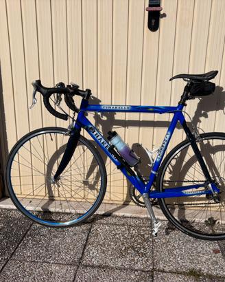 Pinarello Prince