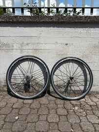 Campagnolo Shamal