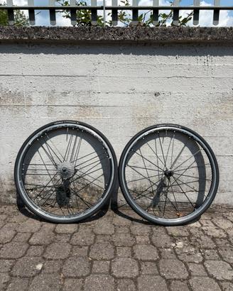 Campagnolo Shamal