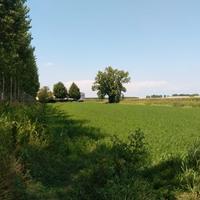 Terreno artigianale industriale