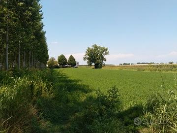 Terreno artigianale industriale