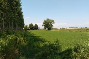 Terreno artigianale industriale