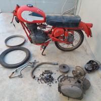 Gilera giubileo 98 del 1959 con targa