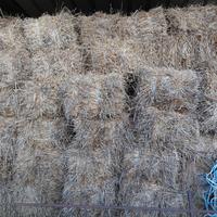 balle prato narutare