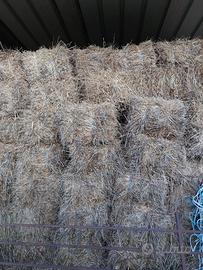 balle prato narutare